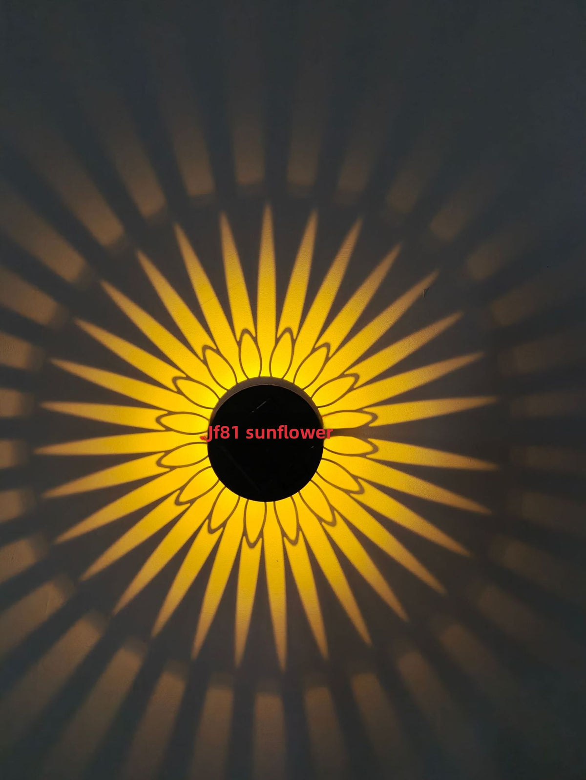 Solar Wall Lamp